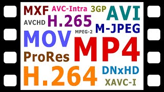 Explaining Digital Video Formats Codecs amp Containers [upl. by Ahtilat]