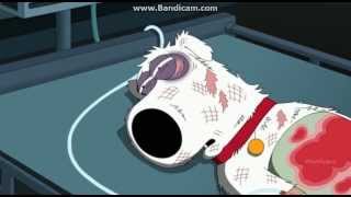 Family Guy  Season 12 Episode 3  Brians Death [upl. by Adriana]