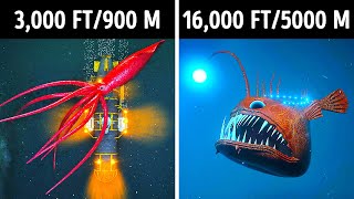 Fascinating 3D Journey to the Ocean Depths [upl. by Rehpotisrhc]