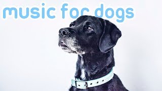 15 HOURS of Separation Anxiety Music for Your Dog Keep Your Dog Calm [upl. by Eerol]