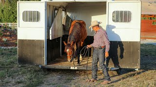 Trailer Loading a Horse with A History of Refusing to Load [upl. by Ebeneser]