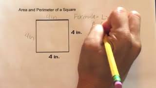 How to find the Area and Perimeter of a Square [upl. by Notnirt300]