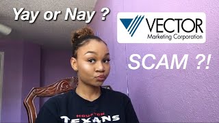 VECTOR MARKETING  CUTCO A SCAM [upl. by Yerfoeg]