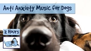 Anti Anxiety Music for Dogs  Cure Separation Anxiety with Dog Music [upl. by Morris80]