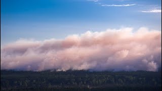 WaldbrandGroßeinsatz Katastrophenalarm in Mecklenburg  DER SPIEGEL [upl. by Timothy]