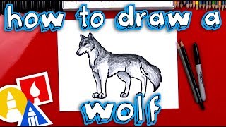 How To Draw A Realistic Wolf [upl. by Ayerdna]