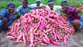 FARM FRESH SWEET POTATOES Harvesting amp Cooking  Sakkaravalli Kilangu Kuzhi Paniyaram Recipe Cooking [upl. by Direj395]