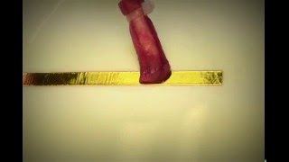 24K Gold Plating Solution Demo  How to Gold Plate Copper Effectively [upl. by Anirehtac]