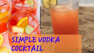 Simple Vodka Punch  Adult cocktails [upl. by Maitund687]