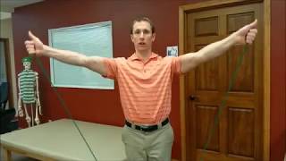 Rotator Cuff Strengthening Supraspinatus  Scaption to 90° [upl. by Daveen]