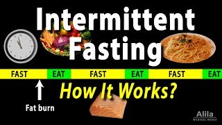 Intermittent Fasting  How it Works Animation [upl. by Lilaj]