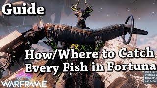 Warframe  WhereHow To Catch Every Fish In FortunaOrb Vallis Guide [upl. by Bartlet]