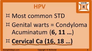 HPV Parvovirus B19 amp Adenovirus Cervical Cancer Fifths Disease Warts Slapped cheek Koilocyte [upl. by Notlef]