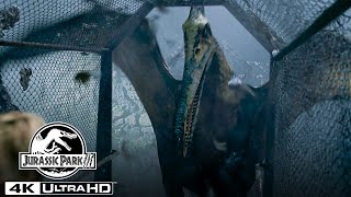 The Pteranodon Aviary Attack in 4K HDR  Jurassic Park III [upl. by Ikuy]