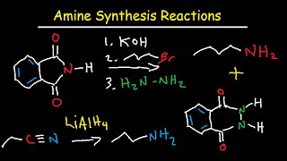 Amine Synthesis Reactions Organic Chemistry  Summary amp Practice Problems [upl. by Llewkcor]