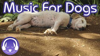 Soothing Music for Dogs  Dog Relaxation Music TESTED [upl. by Attenoj710]