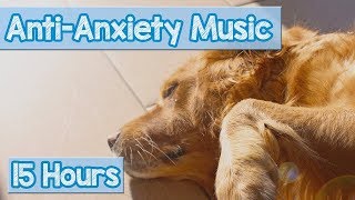 Calming Music for Puppies with Anxiety Soothing Lullabies for Anxious and Stressed Dogs Tested [upl. by Jaquenette]