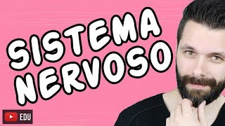 SISTEMA NERVOSO  FISIOLOGIA  Aula  Biologia com Samuel Cunha [upl. by Mich]