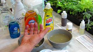 How to Make Soapy Water Garden Insect Sprays The Recipe Use amp Soap Selection  DIY Ep3 [upl. by Arbua]