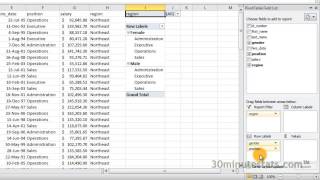 Excel 2010  Creating Pivot Tables [upl. by Cynara12]