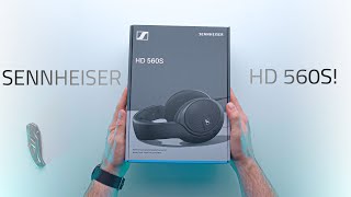 FIRST LOOK at the BRAND NEW HD560S  First Impressions [upl. by Henebry]