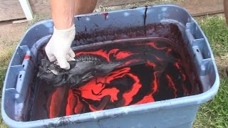 How to DEER SKULL DIPPING WITH SPRAY PAINT [upl. by Gayner868]