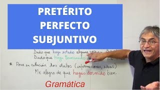 Pretérito perfecto de subjuntivo [upl. by Ahsatan]