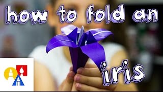 How To Fold An Origami Iris [upl. by Silohcin22]