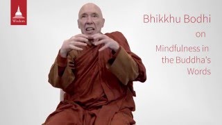 The Buddha on Mindfulness [upl. by Blum]