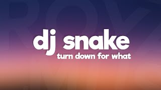 DJ Snake Lil Jon  Turn Down for What Lyrics [upl. by Tala921]