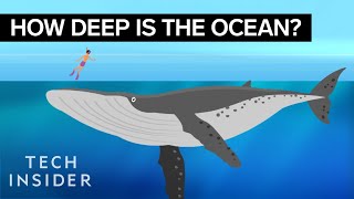 This Incredible Animation Shows How Deep The Ocean Really Is [upl. by Hashum]