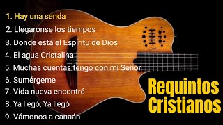 25 minutos de REQUINTOS CRISTIANOS En Guitarra 🎸🎵 [upl. by Kenwrick]