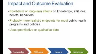 Chapter 10 Types of Program Evaluation [upl. by Aztiram11]