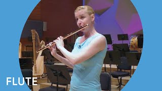 Guide to the Orchestra Flute Demonstration  Minnesota Orchestra [upl. by Enaffit990]