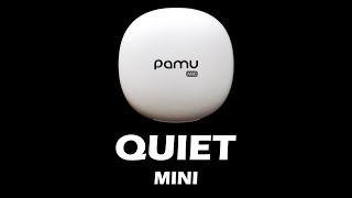 PaMu Quiet Mini Review  Affordable ANC Earphones [upl. by Januisz]