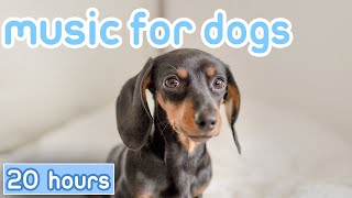 Dog Music Separation Anxiety Busting Songs for Dogs Ears [upl. by Mendelsohn]