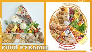 Food Pyramid Balanced Diet 2021 [upl. by Gladi]