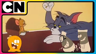 Tom and Jerry 😺🐭 The Great Stinky Fruit War  Cartoon for Kids 😍 Cat and Mouse ✨ cnindia [upl. by Iemaj]