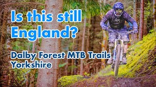 Is this best Yorkshire has  Dalby Forest Trail Guide [upl. by Myrilla]