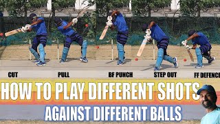 HOW TO PLAY DIFFERENT SHOTS AGAINST DIFFERENT BALLS IN BATTING  CRICKET TIPS  HINDI [upl. by Nikos]