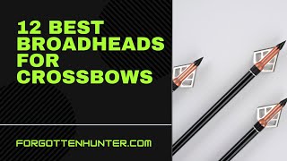 12 Best Crossbow Broadheads [upl. by Marieann599]