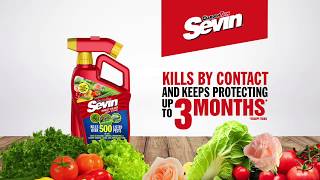 Sevin® Insect Killer Ready to Spray [upl. by Valry]