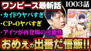 最後のコマ カイドウの覚醒した姿が○○すぎる件！ この10分間にシャンクスが来る？ 【 ワンピース1003話】 ※ジャンプネタバレ注意 [upl. by Bores]