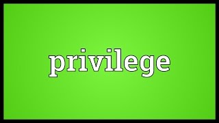 Privilege Meaning [upl. by Hartfield284]