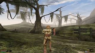 LGR  Elder Scrolls Morrowind  PC Game Review [upl. by Chiou327]