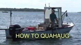 How to Quahaug How to dig for Clams [upl. by Swanhilda]