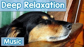 15 Hours of Deep Relaxation Music for Dogs Music to Relax Your Dog Completely and Help with Sleep [upl. by Eelta757]