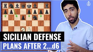 The Sicilian Defense after 2…d6  Introduction  Part 1 Strategies Plans amp Ideas  2D Reupload [upl. by Anaiv651]