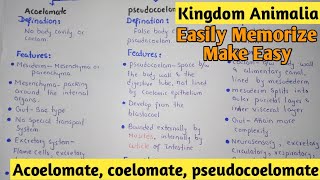 Acoelomate  Coelomate  Pdeudocoelomate  Kingdom Animalia  Class 11 [upl. by Asirram]