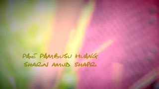 Paie Pambusu Huang Official Music Video Sharin Amud Shapri [upl. by Vatsug]